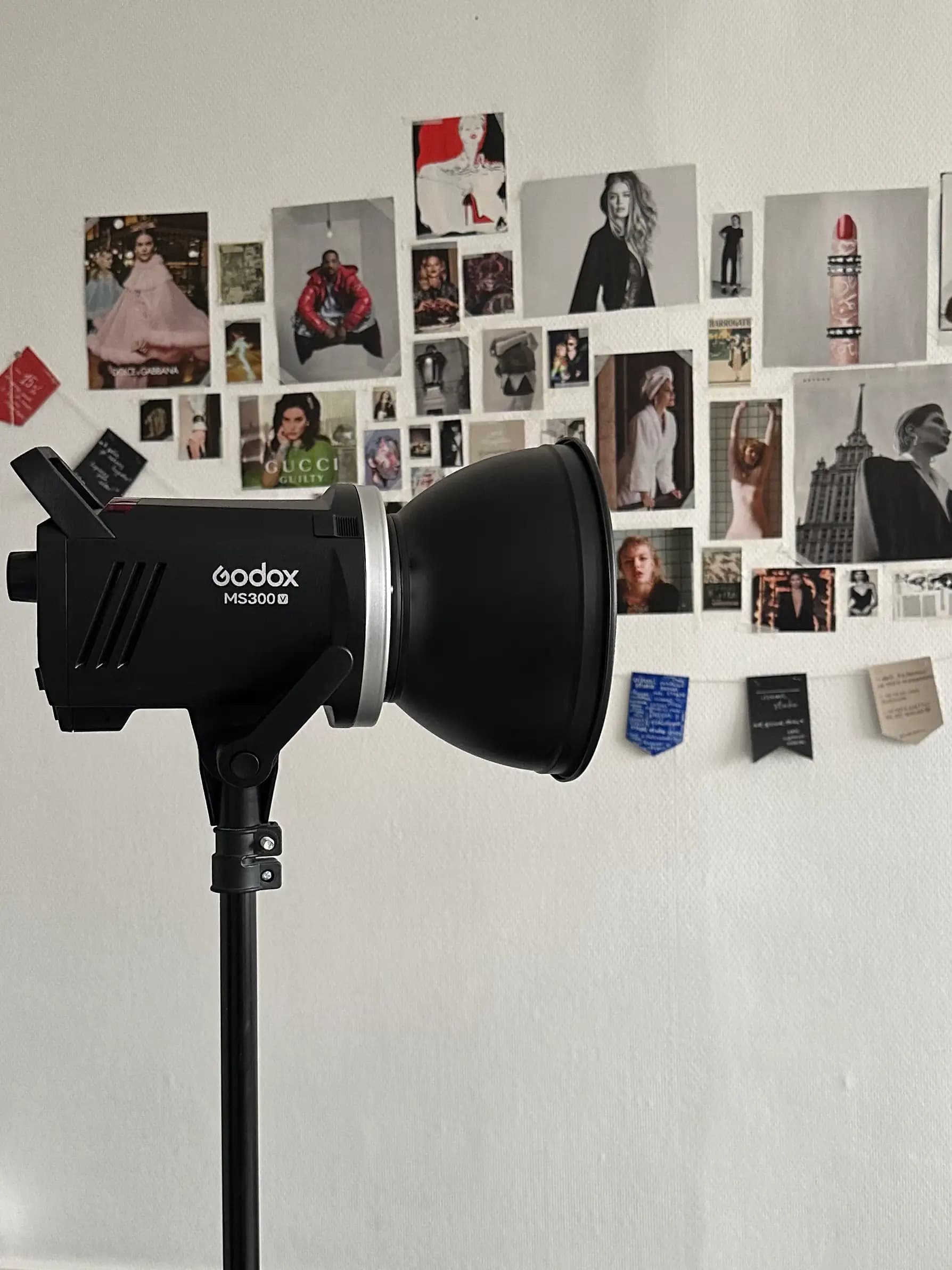 Источник импульсного света Godox MS300V